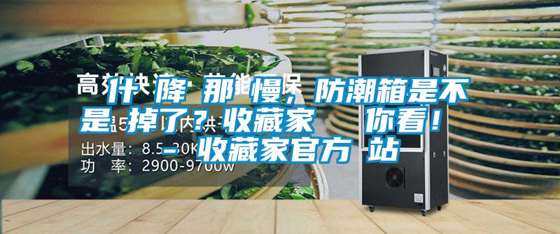 為什麼降濕那麼慢，防潮箱是不是壞掉了？收藏家實測給你看！ - 收藏家官方網站