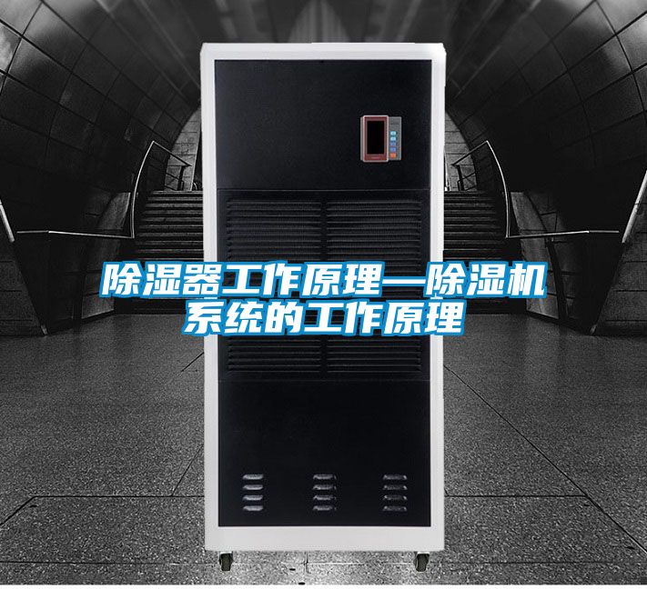 除湿器工作原理—草莓视频APP在线观看系统的工作原理
