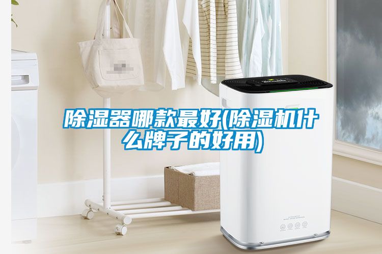 除湿器哪款最好(草莓视频APP在线观看什么牌子的好用)