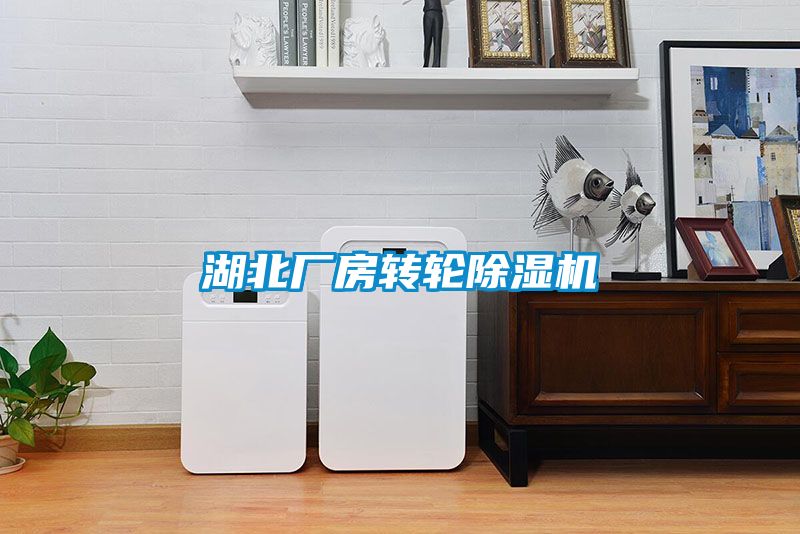湖北厂房转轮草莓视频APP在线观看