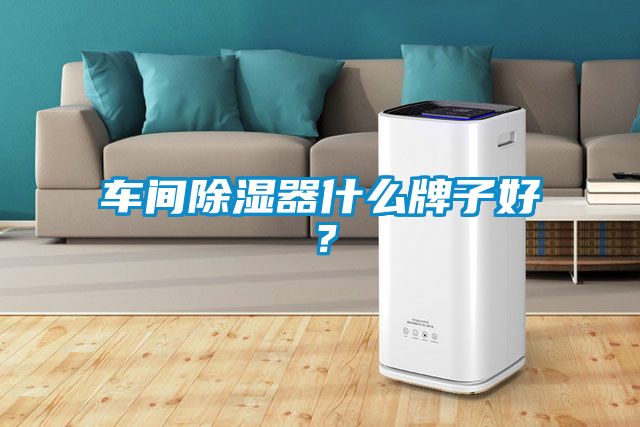 车间除湿器什么牌子好？