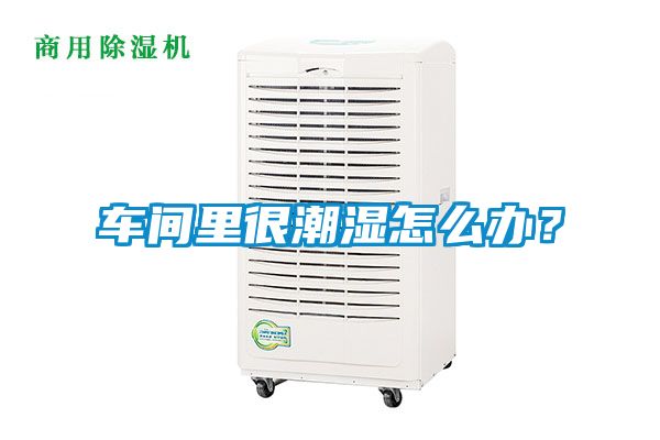 车间里很潮湿怎么办？