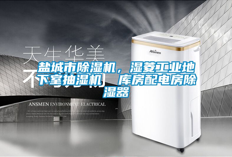 盐城市草莓视频APP在线观看，湿菱工业地下室抽湿机  库房配电房除湿器