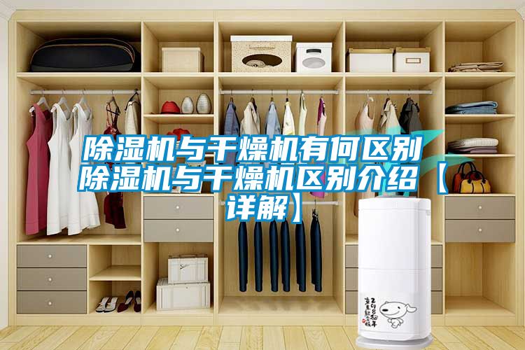 草莓视频APP在线观看与干燥机有何区别 草莓视频APP在线观看与干燥机区别介绍【详解】