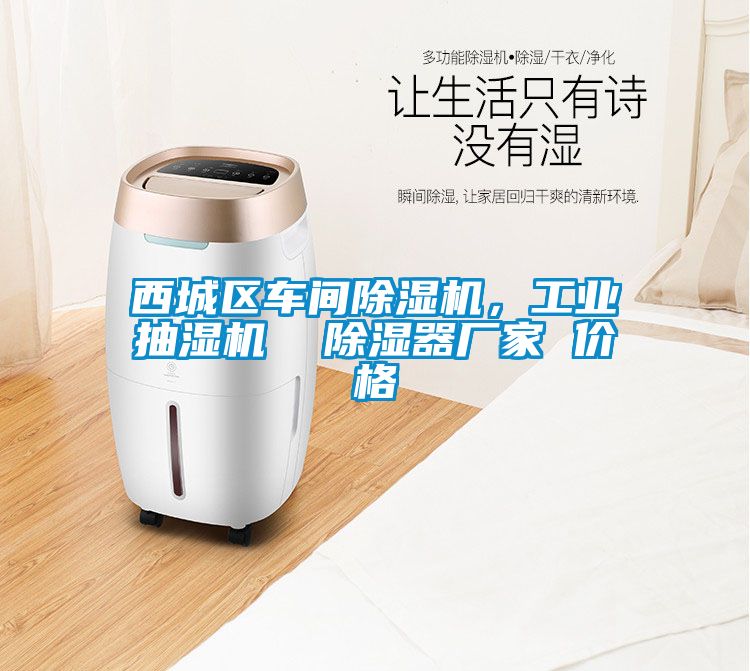 西城区车间草莓视频APP在线观看，工业抽湿机  除湿器厂家 价格
