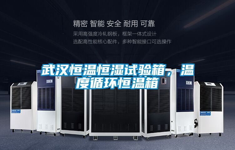 武汉恒温恒湿试验箱，温度循环恒温箱