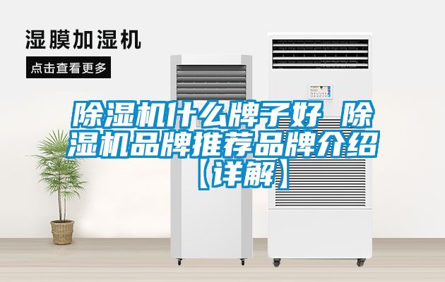 草莓视频APP在线观看什么牌子好 草莓视频APP在线观看品牌推荐品牌介绍【详解】