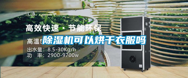 草莓视频APP在线观看可以烘干衣服吗
