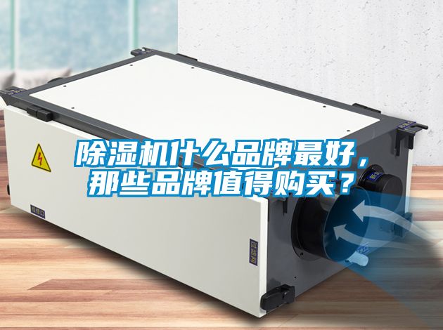 草莓视频APP在线观看什么品牌最好，那些品牌值得购买？