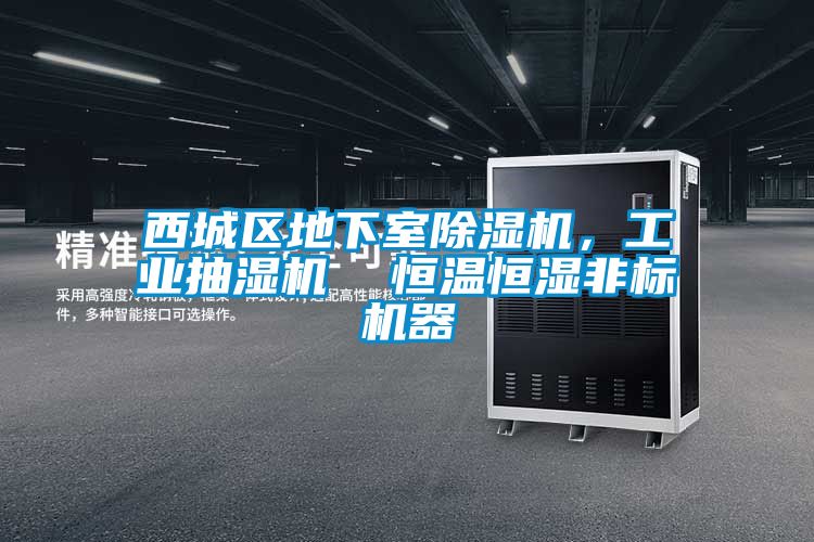 西城区地下室草莓视频APP在线观看，工业抽湿机  恒温恒湿非标机器