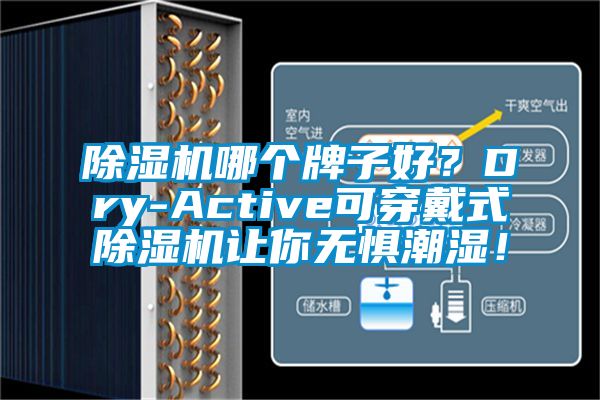 草莓视频APP在线观看哪个牌子好？Dry-Active可穿戴式草莓视频APP在线观看让你无惧潮湿！