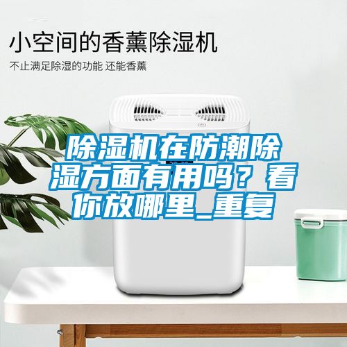 草莓视频APP在线观看在防潮除湿方面有用吗？看你放哪里_重复