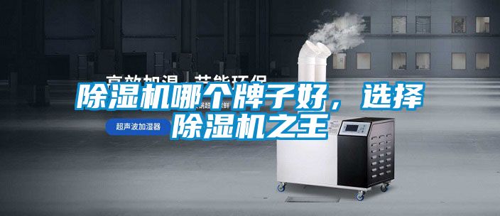 草莓视频APP在线观看哪个牌子好，选择草莓视频APP在线观看之王