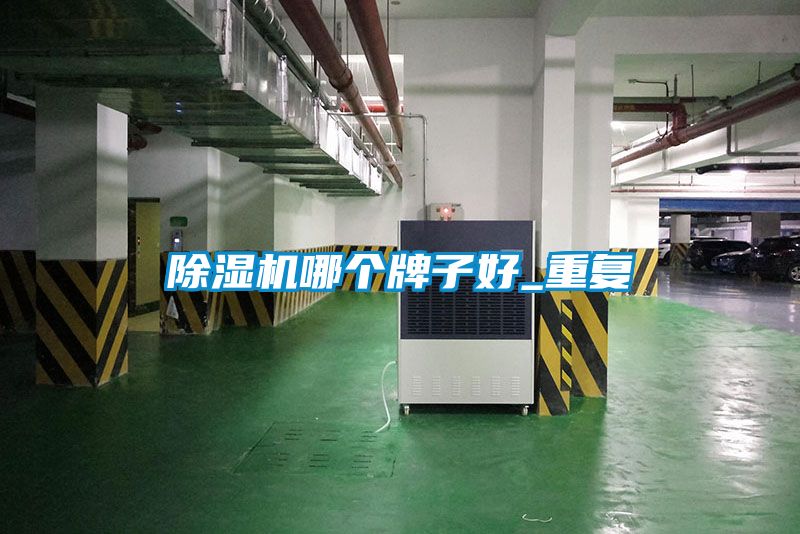 草莓视频APP在线观看哪个牌子好_重复
