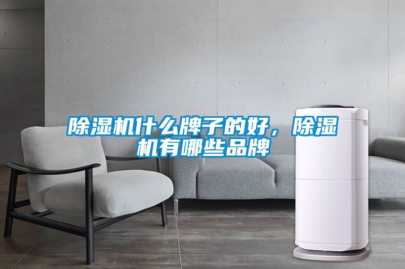 草莓视频APP在线观看什么牌子的好，草莓视频APP在线观看有哪些品牌