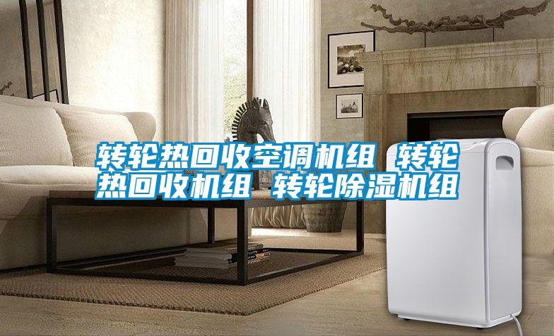 转轮热回收空调机组 转轮热回收机组 转轮草莓视频APP在线观看组