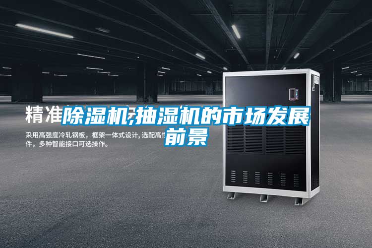 草莓视频APP在线观看,抽湿机的市场发展前景