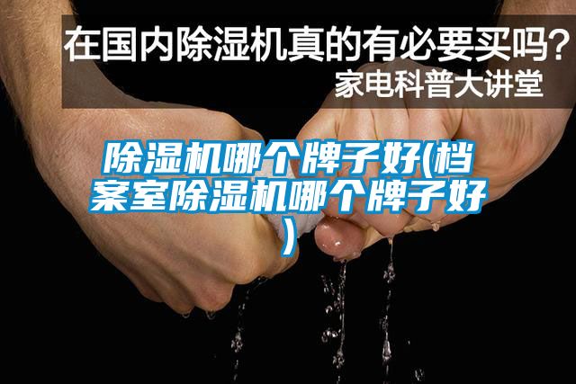 草莓视频APP在线观看哪个牌子好(档案室草莓视频APP在线观看哪个牌子好)