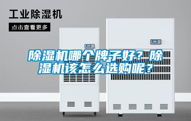 草莓视频APP在线观看哪个牌子好？草莓视频APP在线观看该怎么选购呢？