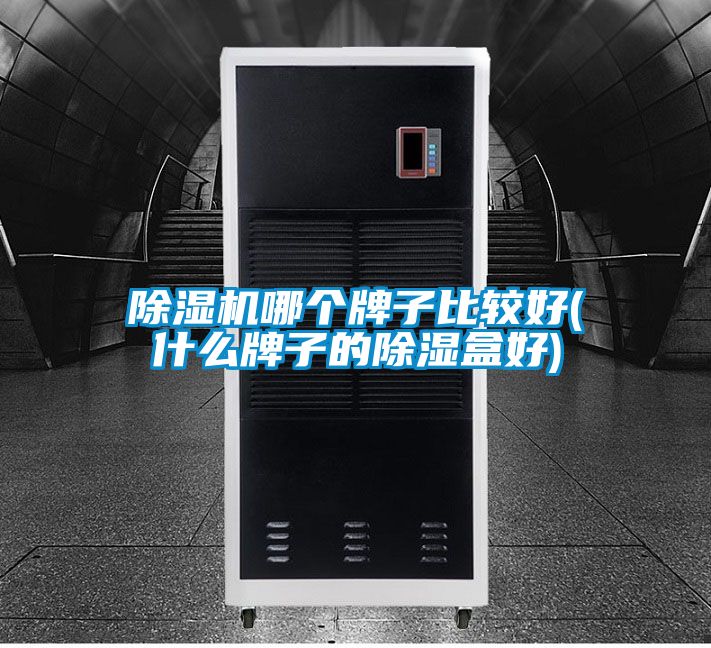 草莓视频APP在线观看哪个牌子比较好(什么牌子的除湿盒好)