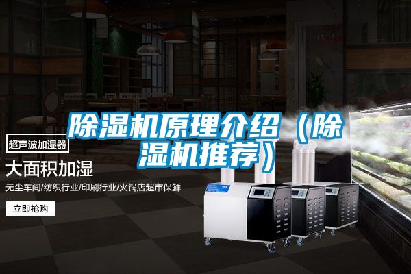 草莓视频APP在线观看原理介绍（草莓视频APP在线观看推荐）