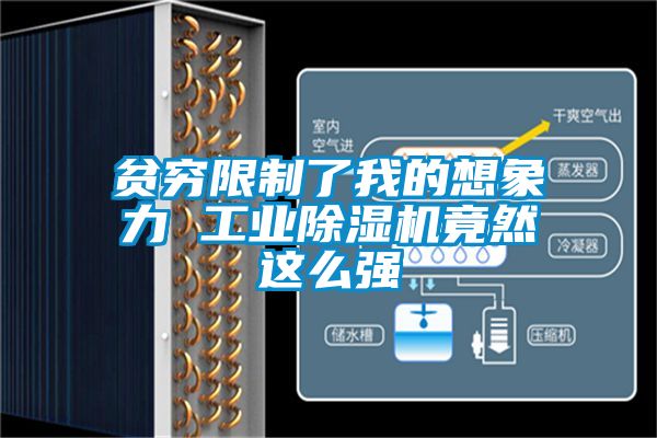 贫穷限制了我的想象力 工业草莓视频APP在线观看竟然这么强