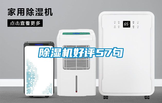 草莓视频APP在线观看好评57句