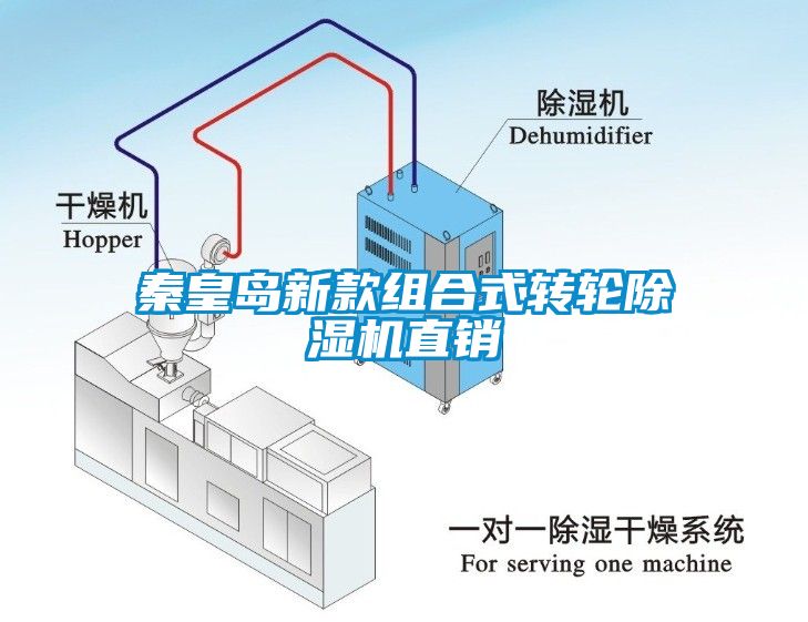 秦皇岛新款组合式转轮草莓视频APP在线观看直销