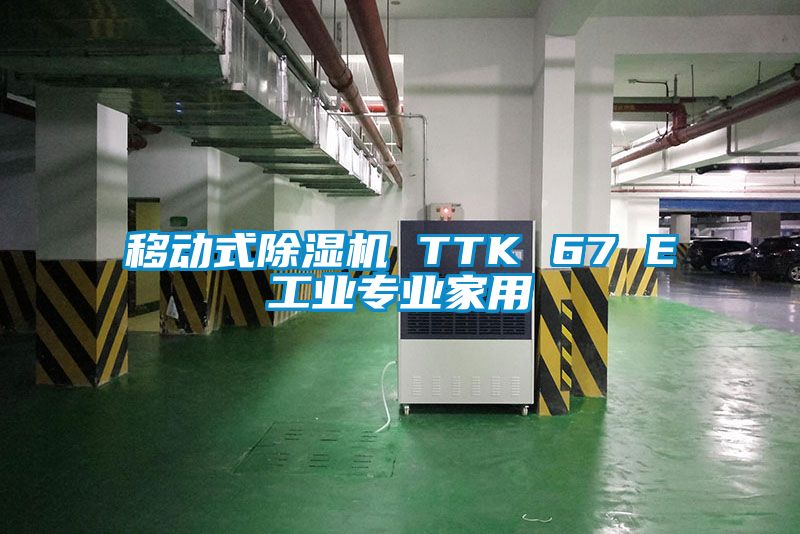 移动式草莓视频APP在线观看 TTK 67 E工业专业家用