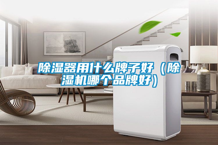 除湿器用什么牌子好（草莓视频APP在线观看哪个品牌好）