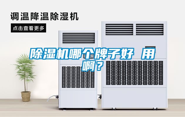 草莓视频APP在线观看哪个牌子好 用啊？
