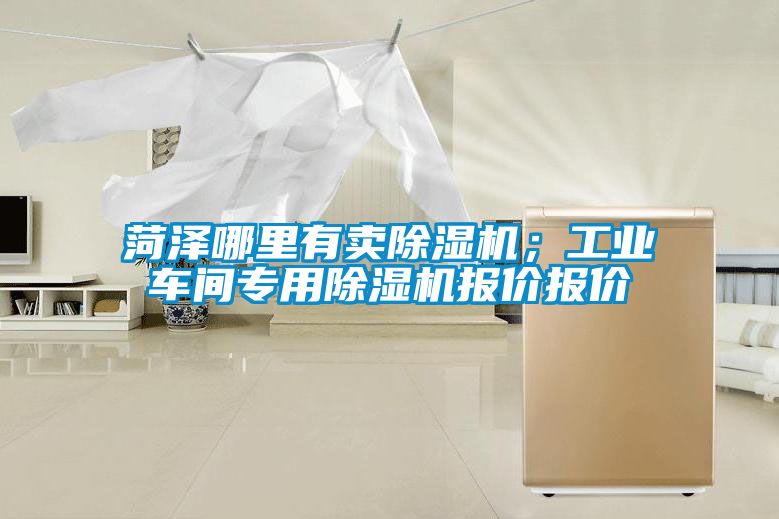 菏泽哪里有卖草莓视频APP在线观看；工业车间专用草莓视频APP在线观看报价报价