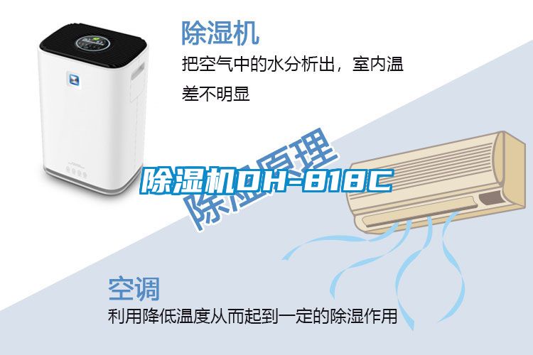 草莓视频APP在线观看DH-818C
