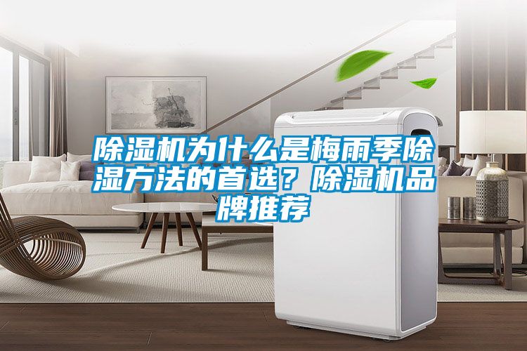 草莓视频APP在线观看为什么是梅雨季除湿方法的首选？草莓视频APP在线观看品牌推荐