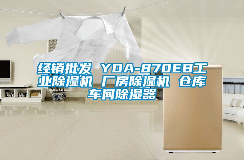 经销批发 YDA-870EB工业草莓视频APP在线观看 厂房草莓视频APP在线观看 仓库车间除湿器