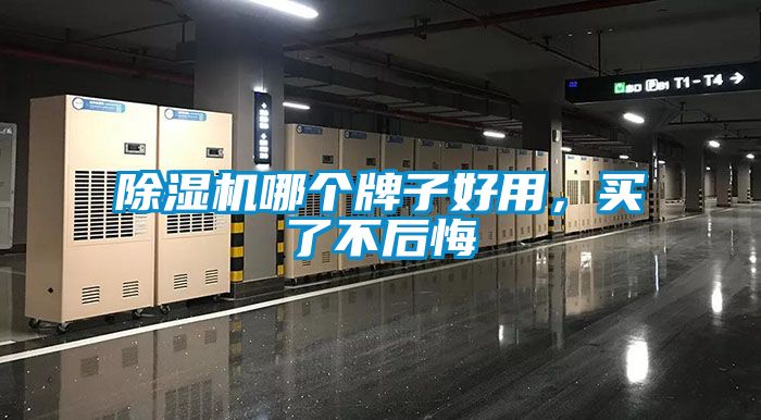 草莓视频APP在线观看哪个牌子好用，买了不后悔