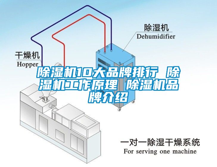 草莓视频APP在线观看10大品牌排行 草莓视频APP在线观看工作原理 草莓视频APP在线观看品牌介绍
