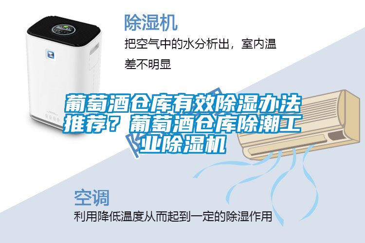 葡萄酒仓库有效除湿办法推荐？葡萄酒仓库除潮工业草莓视频APP在线观看