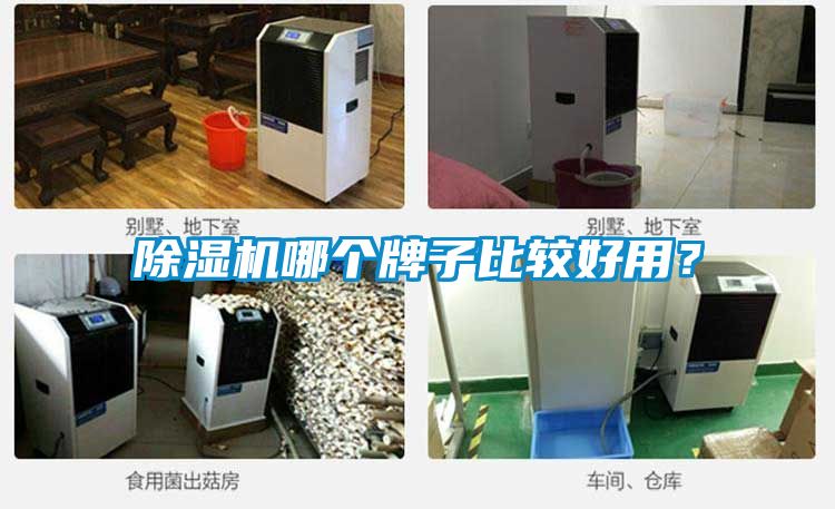 草莓视频APP在线观看哪个牌子比较好用？