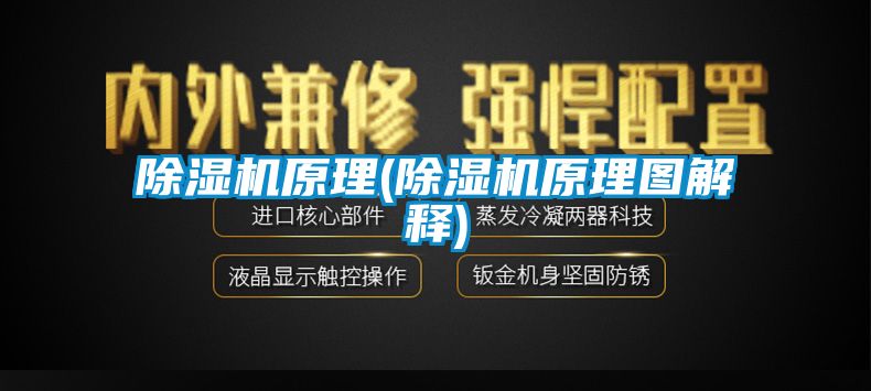 草莓视频APP在线观看原理(草莓视频APP在线观看原理图解释)