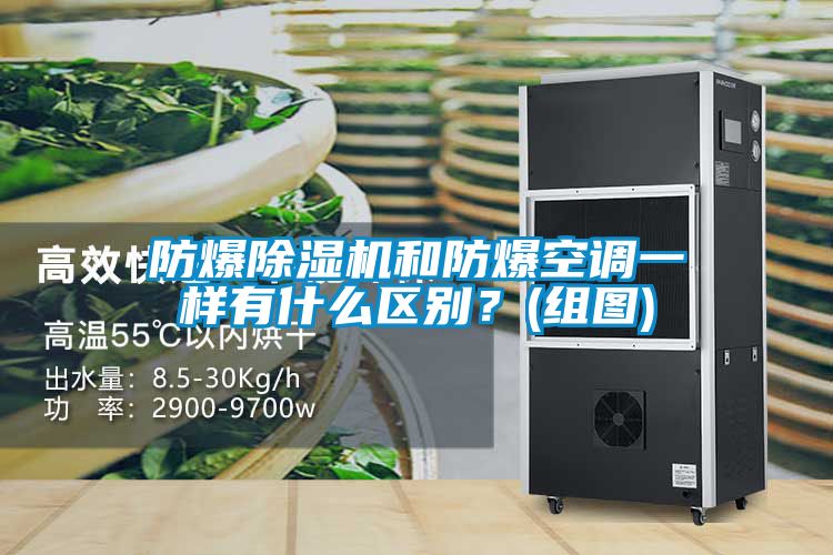 防爆草莓视频APP在线观看和防爆空调一样有什么区别？(组图)
