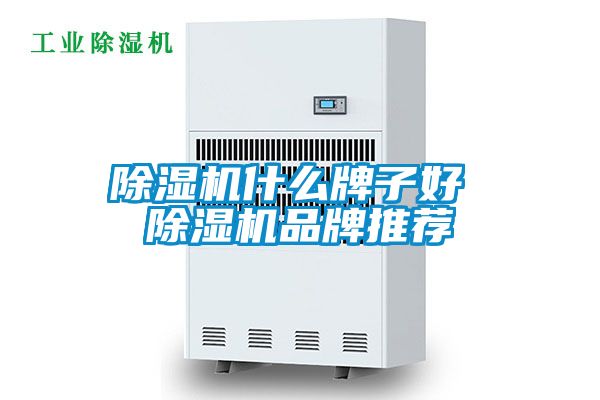 草莓视频APP在线观看什么牌子好 草莓视频APP在线观看品牌推荐