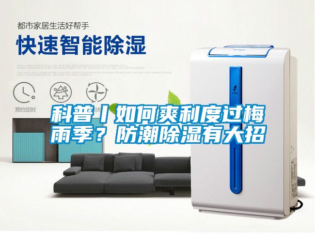 科普丨如何爽利度过梅雨季？防潮除湿有大招