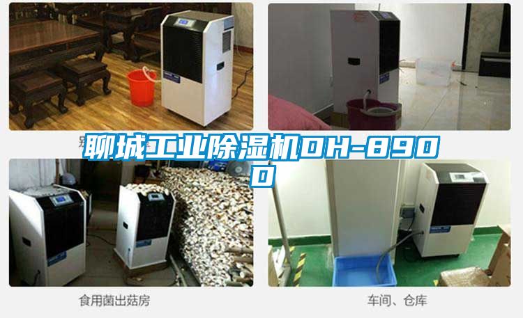 聊城工业草莓视频APP在线观看DH-890D