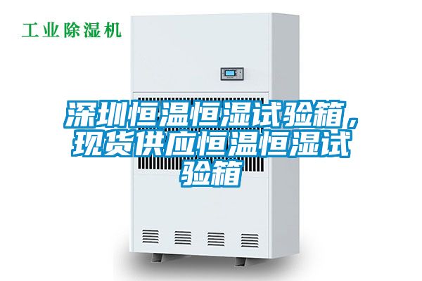 深圳恒温恒湿试验箱，现货供应恒温恒湿试验箱