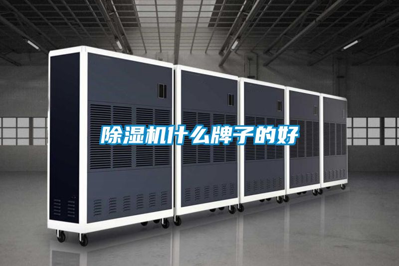 草莓视频APP在线观看什么牌子的好