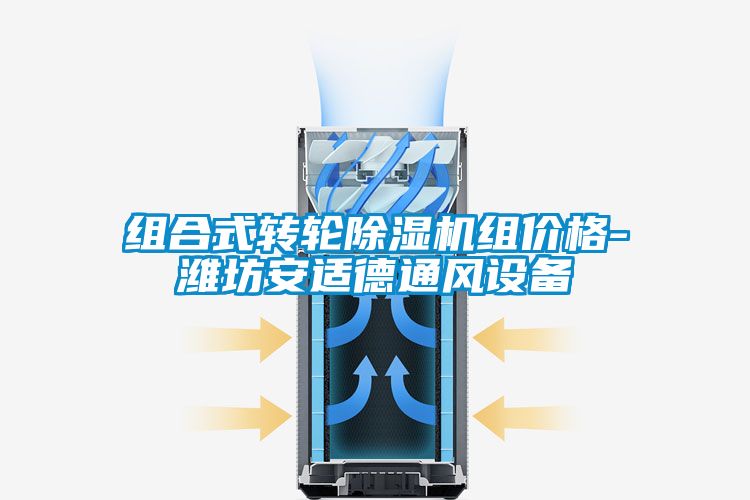 组合式转轮草莓视频APP在线观看组价格-潍坊安适德通风设备
