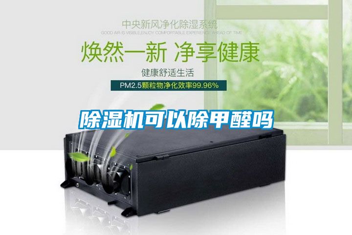 草莓视频APP在线观看可以除甲醛吗
