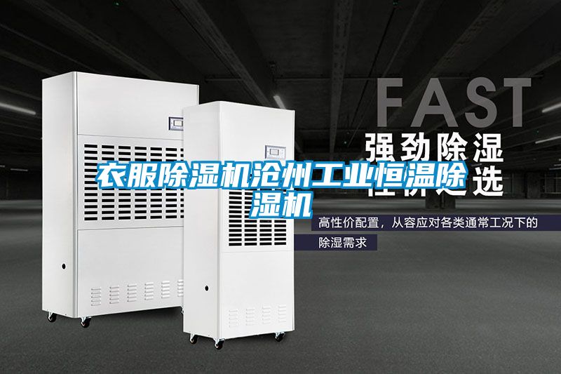 衣服草莓视频APP在线观看沧州工业恒温草莓视频APP在线观看