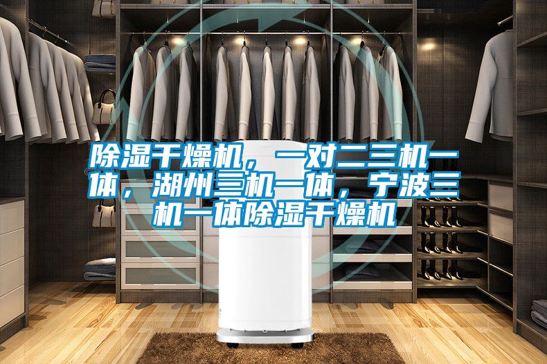 除湿干燥机，一对二三机一体，湖州三机一体，宁波三机一体除湿干燥机
